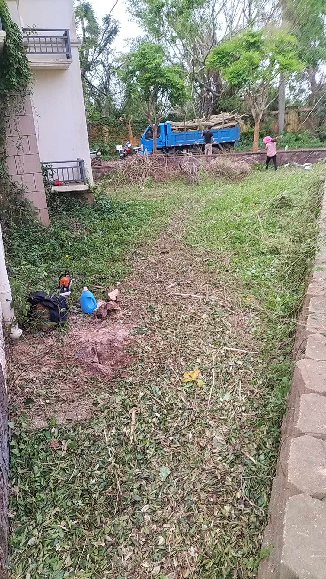wx_camera_1728895954715.jpg