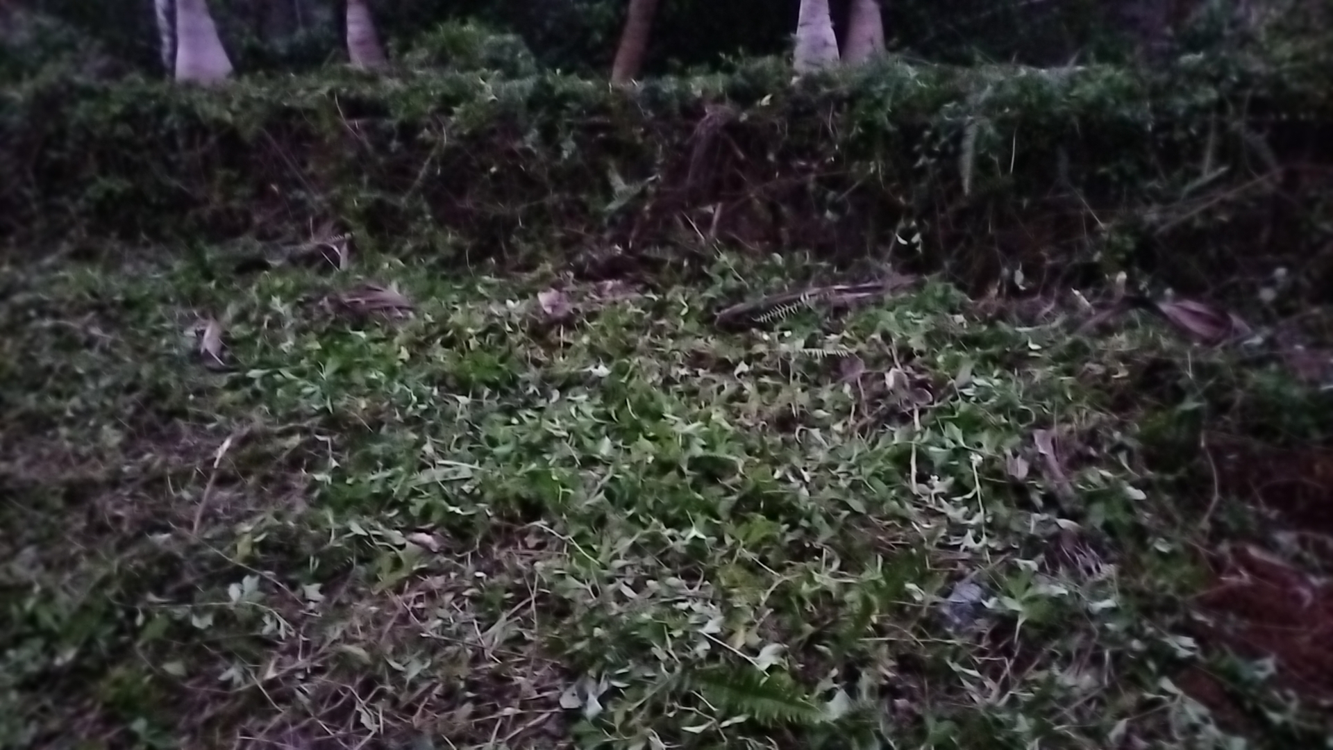wx_camera_1728901569868.jpg