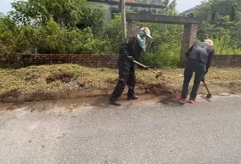 别墅庭院树木杂草砍伐清理 别墅庭院树木杂草砍伐清理