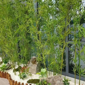 竹子在园林景观中的传统造景手法