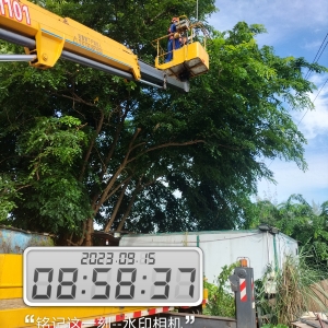 住房旁边的绿化大树修剪要注意以下几点   