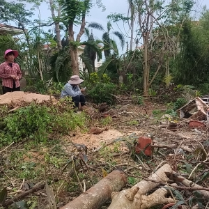 台风过后，庭院里辛勤的修剪养护作业   
