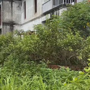 别让庭院 “长荒”了，还你别墅本该有的精致   