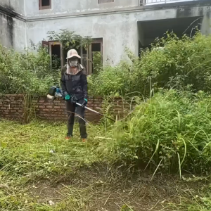 施工日记：海口西秀海岸陈先生庭院杂草清理作业   