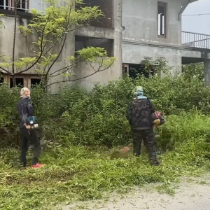 海口美兰区市郊户外杂草清理作业场景展示   