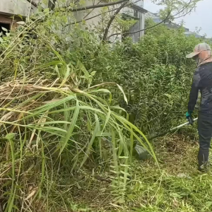  闲置房屋的庭院杂草清理作业及周边环境整治      