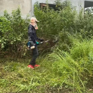 一把割草机清理别墅荒院，恢复庭院生机   