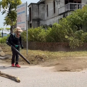 庭院杂草清理的前后场景的变化   