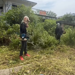 26年3月6日庭院花园杂草清理作业施工流程详细解析   