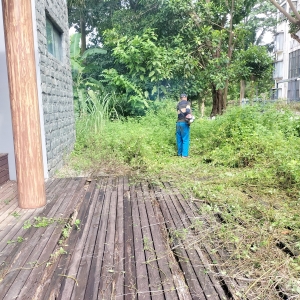 海口秀英居民小区庭院绿化整治与养护作业的全场景施工实况