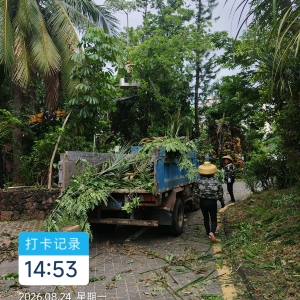 海南冠平高空修剪树枝不粉碎就外运的原因   